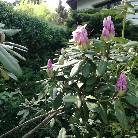 Panorama Beskidow Prázdninový dům Ustroň