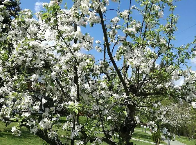 Σπίτι διακοπών Panorama Beskidow *