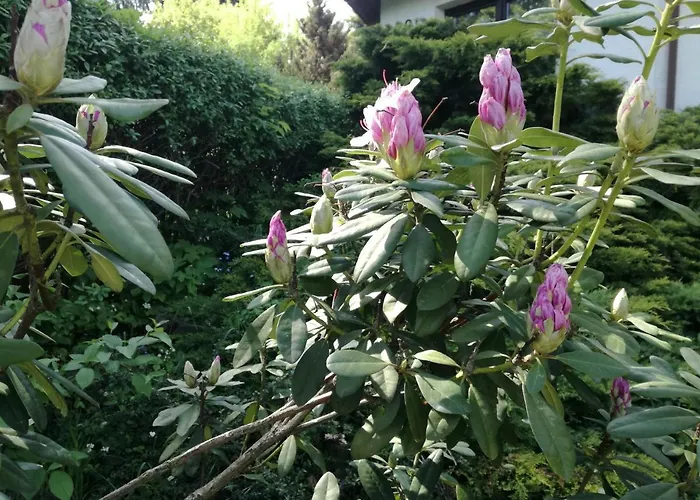 Panorama Beskidow Σπίτι διακοπών Ustroń